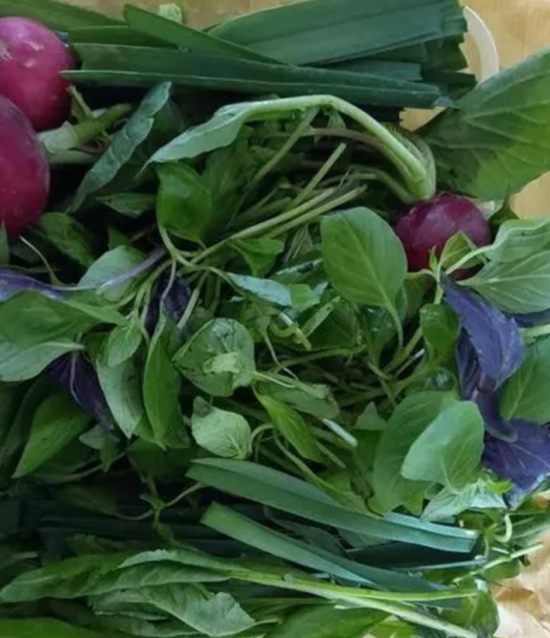 فروش سبزیجات  تازه