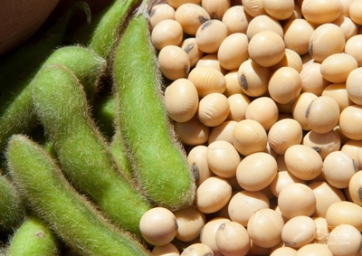 فروش دانه سویا