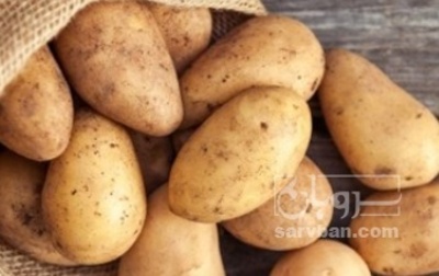 فروش سیب زمینی