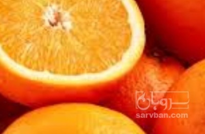 فروش پرتقال