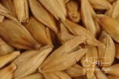فروش جو