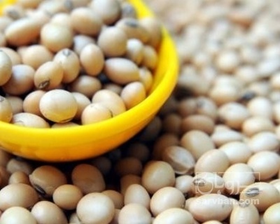 فروش سویا