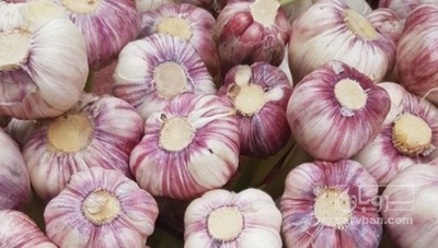 فروش سیر قرمز