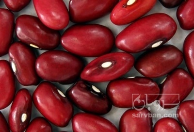 فروش لوبیا قرمز