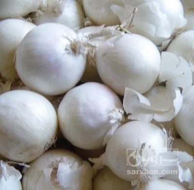 فروش پیاز سفید محلی