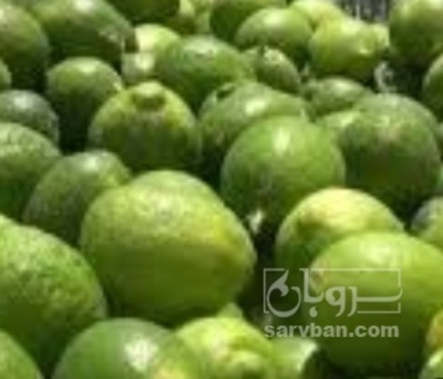 فروش لیموترش