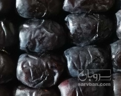 فروش خرما مضافتی | سروبان