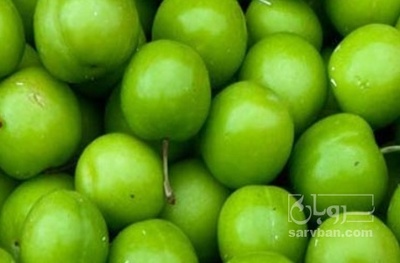 فروش گوجه سبز