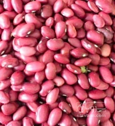 فروش لوبیا قرمز
