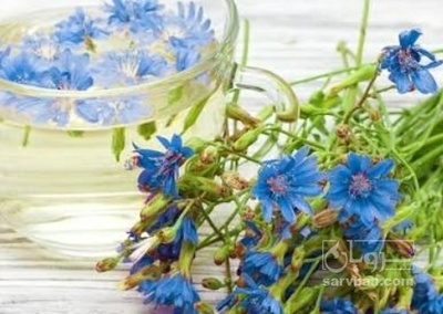 فروش عرق کاسنی