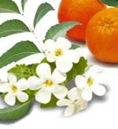 فروش عرق بهارنارنج