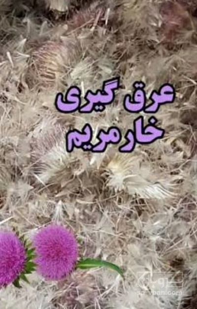 فروش عرق خارمریم