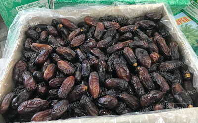 فروش خرما ربی