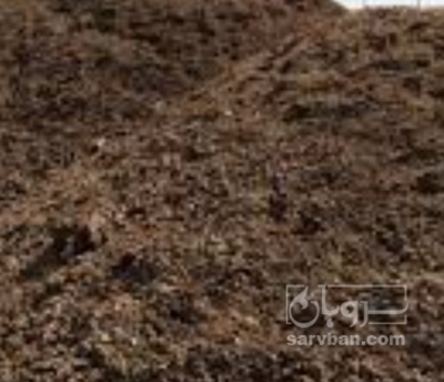 فروش کود مرغی گوشتی