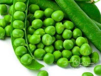 فروش نخود فرنگی