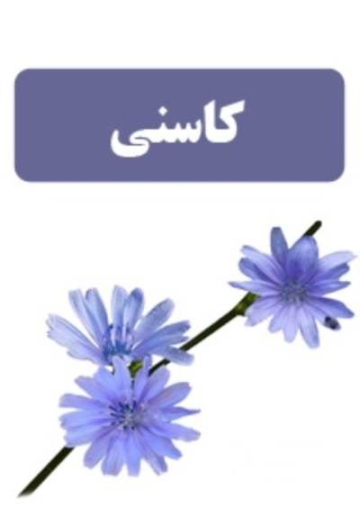 فروش عرق کاسنی | سروبان