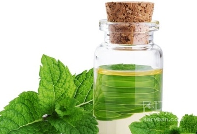 فروش عرق نعناع