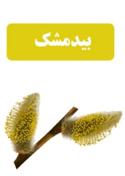 فروش بیدمشک (گیاه‌ دارویی)