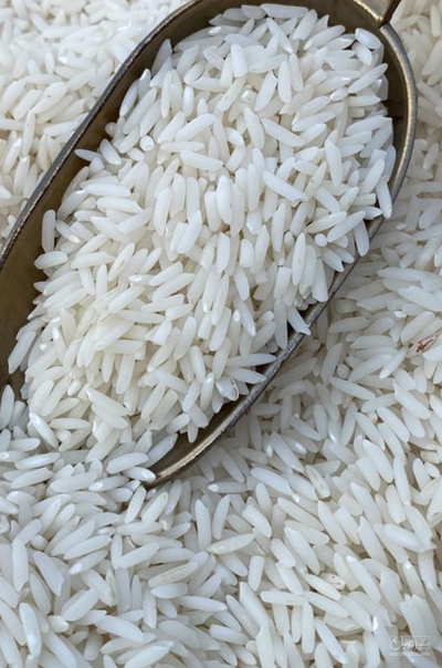 فروش برنج