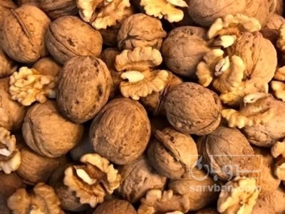 فروش گردو