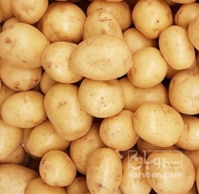 فروش سیب زمینی اگریا