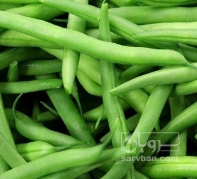 فروش لوبیا سبز هکتاری