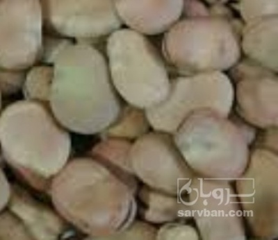 فروش باقلاخشک