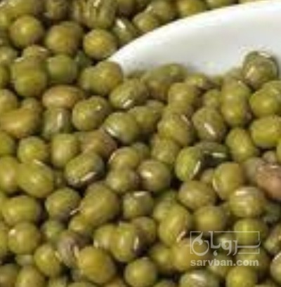 فروش ماش | سروبان