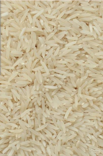 فروش برنج