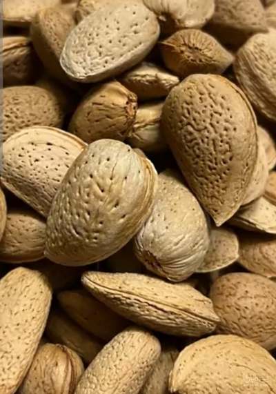 فروش بادام