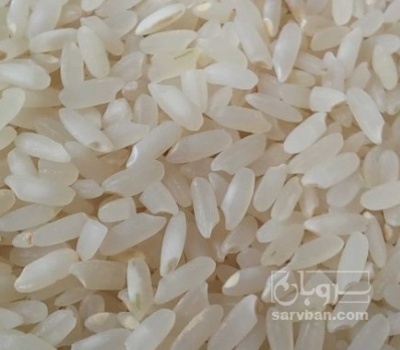 فروش برنج