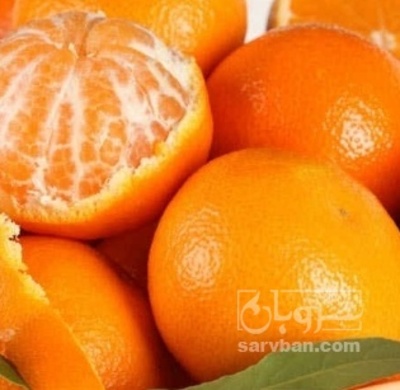 فروش نارنگی