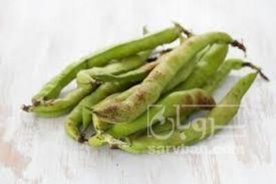 فروش باقلا تازه - باقالی - باقالا