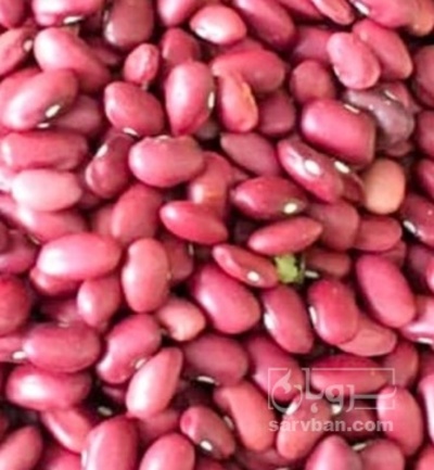 فروش لوبیا قرمز | سروبان