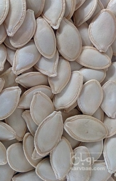 فروش تخمه  کدو بو داده