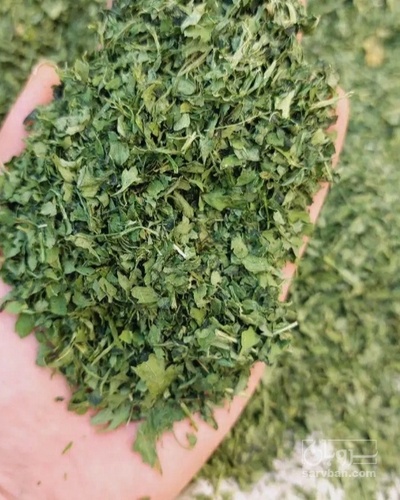 فروش گشنیز خشک