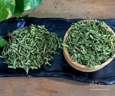 فروش شنبلیله (گیاه‌ دارویی)