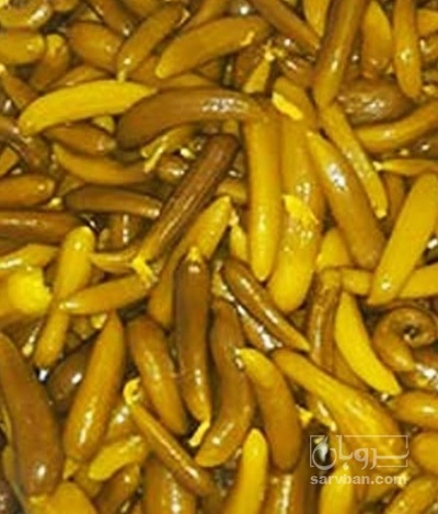 فروش خیار شور ممتاز