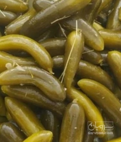 فروش خیار شور ویژه