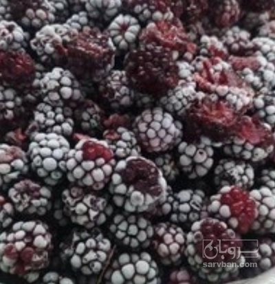 فروش شاتوت منجمد