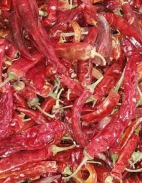 فروش فلفل قرمز خشک