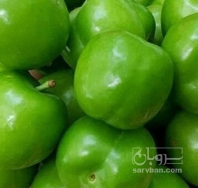 فروش گوجه سبز