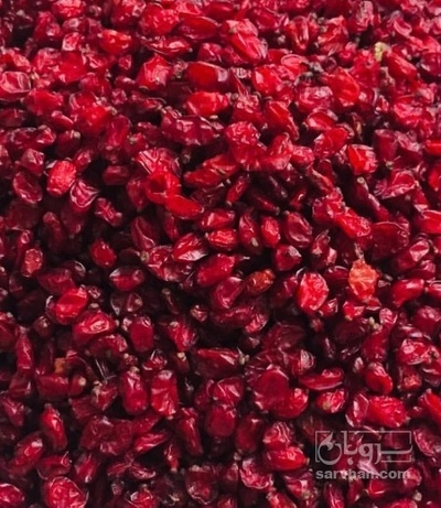 فروش زرشک اناری