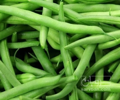 فروش لوبیا سبز