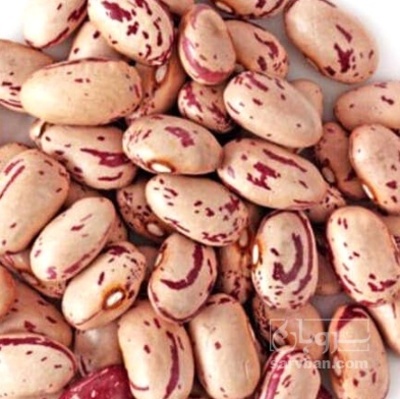 فروش لوبیا چیتی | سروبان