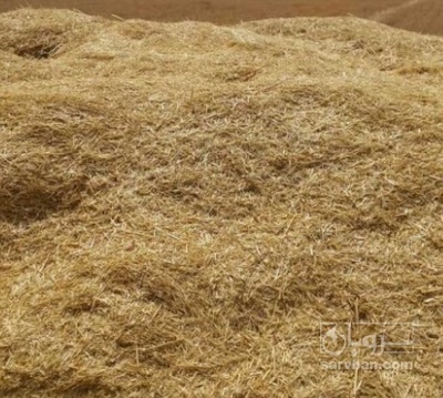 فروش کاه و کلش گندم | سروبان