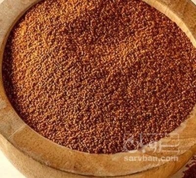 فروش خاکشیر (گیاه‌ دارویی)