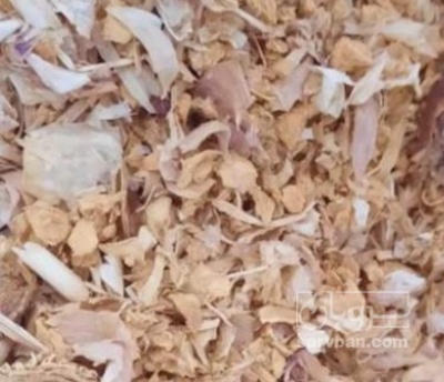 فروش سیر خشک - با پوست