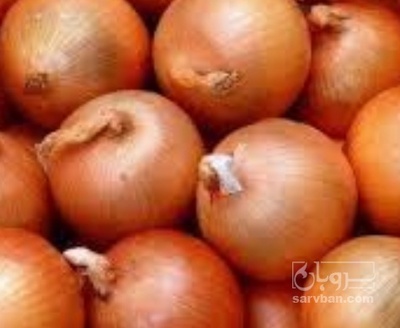 فروش پیاز زرد