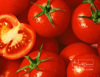 فروش گوجه فرنگی | سروبان